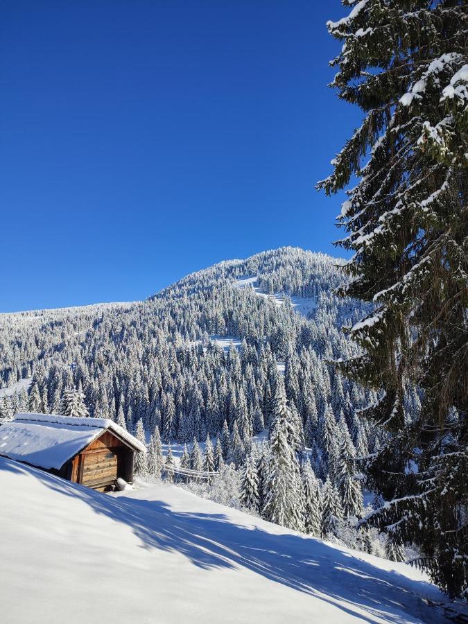 Villa Koliba Marijanovic Andrijevica Exterior foto