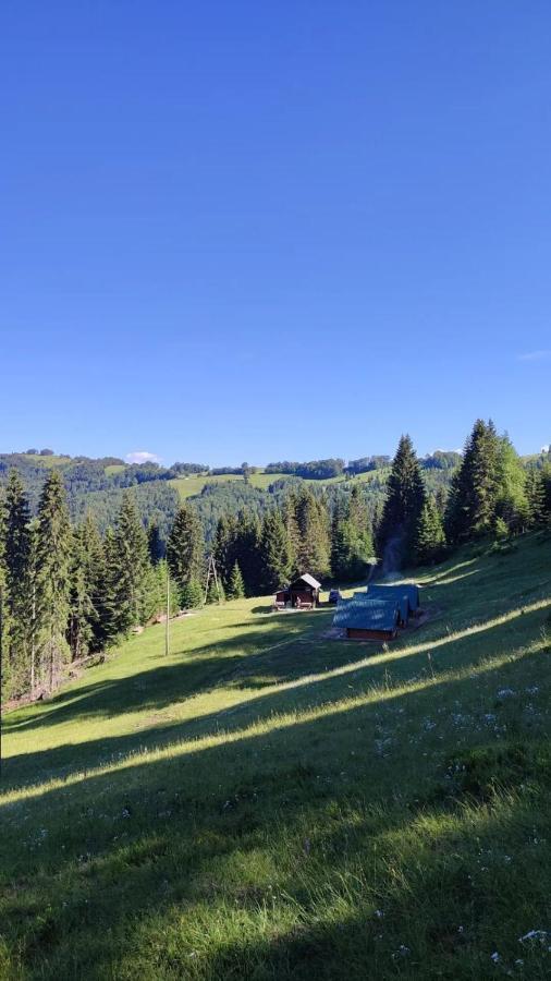 Villa Koliba Marijanovic Andrijevica Exterior foto